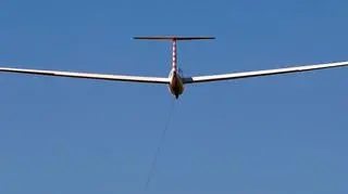 Projekt "Skrzydła Krakowa" jednak nie będzie realizowany