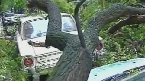 Argentyna: wichury zabiły 2 osoby