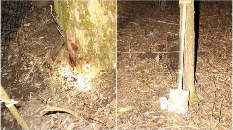 Osiek. Sprawcy pobicia psa z zarzutami