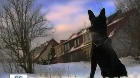 Irasiad ma następcę