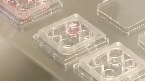 PiS ucina wojewódzki program in vitro