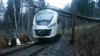 Pociąg relacji Szklarska Poręba - Wrocław wjechał w powalone drzewo