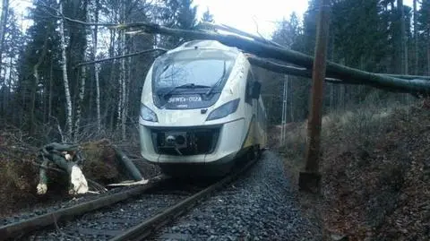Drzewo spadło na tory, wjechał w nie pociąg