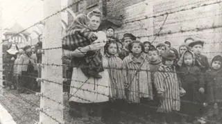 Spośród ponad 230 tys. dzieci deportowanych przez Niemców do Auschwitz wyzwolenia doczekało 700 z nich. 