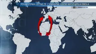 Brytyjczycy boją się przylotu wirusa