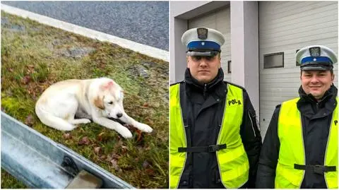 Żagań: Policjanci uratowali psa