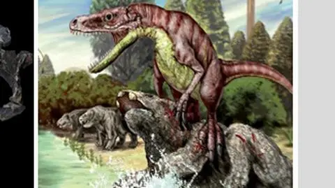 Dinozaury mieszkały na Śląsku