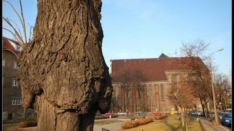 Płk Kukliński będzie miał skwer w Poznaniu? "To godne miejsce"