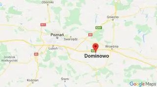 Do zdarzenia doszło w Dominowie na Wielkopolsce