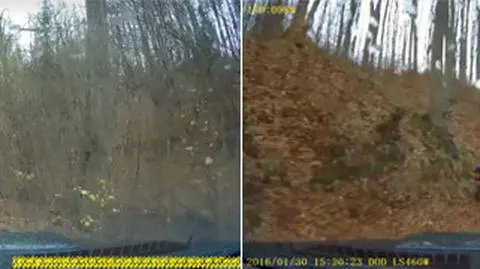 Pomorze: leśnicy ścigają kierowców quadów