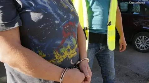 Częstochowa. Kobieta zadała psu trzy ciosy nożem, ma zarzut