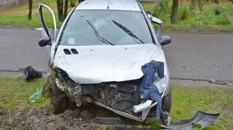 Samochód wylądował w rowie