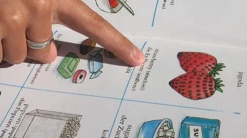 Posłowie znają języki... z widzenia