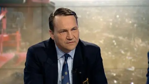 Radek Sikorski: the United States are a key partner of the European Union (video from 30 May, 2018)