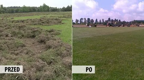 Odbudowali boisko zryte przez dziki