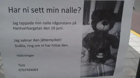 Policja szuka zaginionego misia. Pluszowego