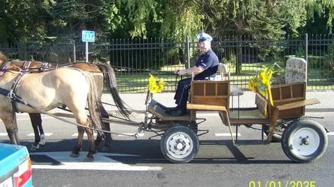 Pijany woźnica na S5. Bryczkę odstawił policjant