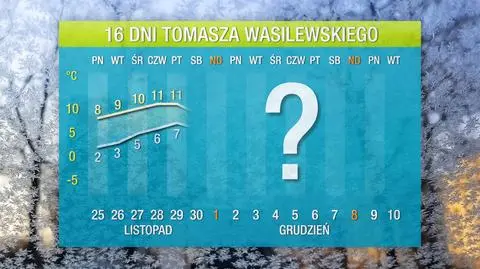Wasilewskiego prognoza pogody na 16 dni: czeka nas zimowy incydent