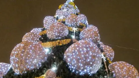 20-metrowa choinka rozświetliła rynek