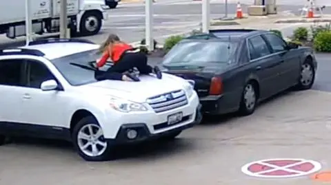 Wybierz najciekawsze wideo tygodnia w tvn24.pl