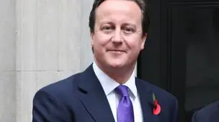 David Cameron przyznał się do posiadania udziałów w funduszu