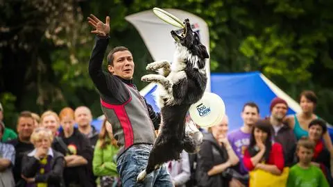Zawody psów cieszyły się dużym zainteresowaniem