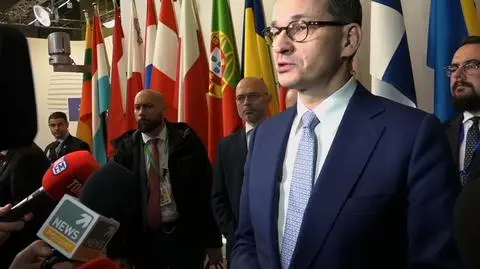 PM Morawiecki: Poland would need another six months to fully sign up to EU 2050 climate neutrality target
