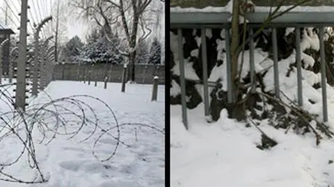 Strażnicy z muzeum 
Auschwitz zawieszeni