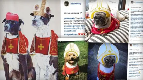 Psy w papieskich strojach