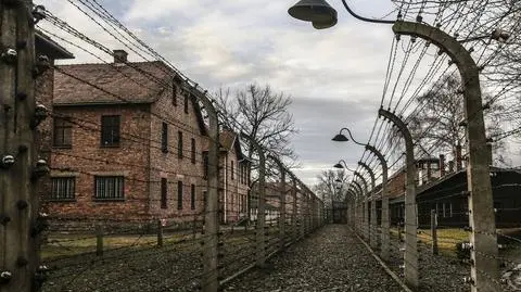 Historie ocalałych z Holocausty Żydów, dziś mieszkających w Izraelu