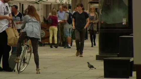 Kierunek: bezrobocie