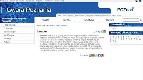 Bamber - prostak, nadzior czy fragment historii Poznania?