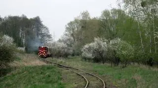 Z torów na odcinku 120 metrów zniknęły śruby