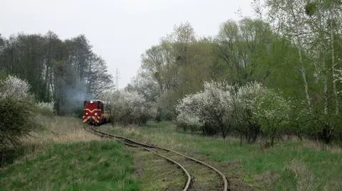 Wykolejenie wąskotorówki. "Kradną śruby mocujące szyny"