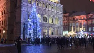 Choinka stanęła na poznańskim rynku