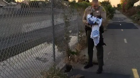 Los Angeles. Noworodek zakopany pod asfaltem uratowany