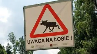 Bez odszkodowania za wypadek