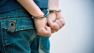 Członkami rozbitego gangu było kilkudziesięciu imigrantów, głównie z Gruzji 