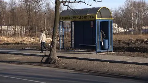 Drogowy absurd w Zabrzu? Zatoczka, w której rosną drzewa