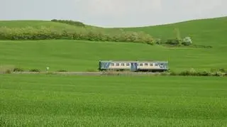 Pies przejechał pociagiem 80 km 