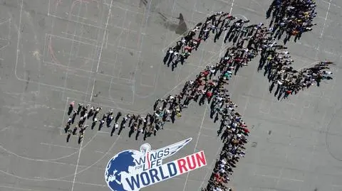 Meta będzie ścigać zawodników. 
Wyjątkowy bieg już za miesiąc w Poznaniu