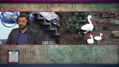 Kamil Dąbrowa pierwszym uczestnikiem nowego teleturnieju