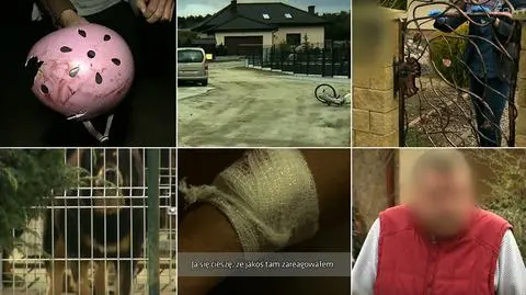 Eksperci o agresji psów