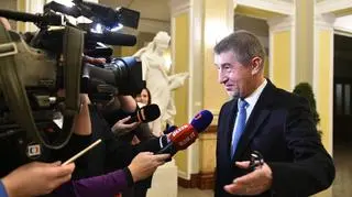 W połowie stycznia rząd Andreja Babisza nie uzyskał wotum zaufania
