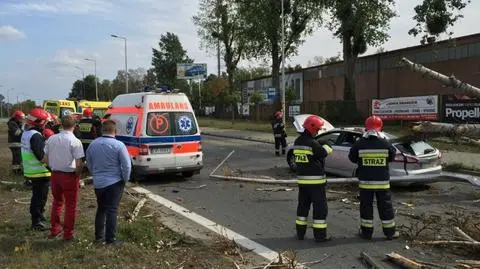 Wypadek w Opolu. Drzewo spadło na karetkę