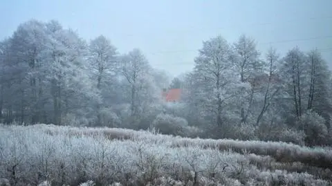 Oszronione drzewa na zdjęciu Reportera 24
