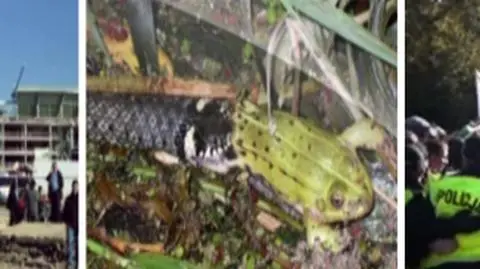 Desperat, górnicy, mecz i... łąkowy dreszczowiec