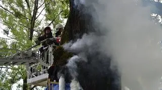 Strażacy gasili pożar przez prawie 8 godzin