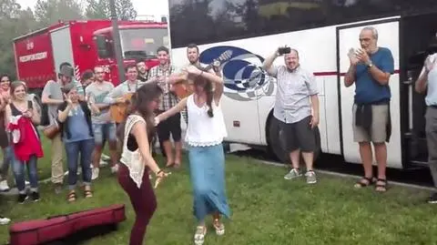 Flamenco na trawie przy drodze