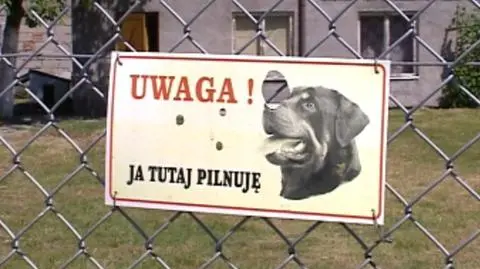 Pies zagryzł dziecko